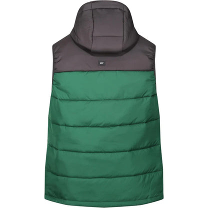 Regatta Mens Nevado Heavyweight Bodywarmer - Ash/Eden